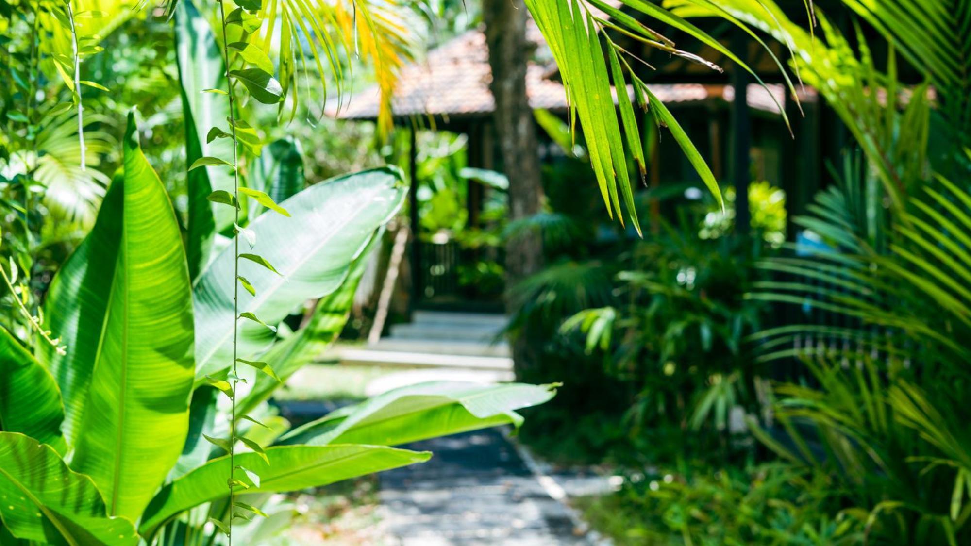 Onaya Bali Resort - Adults Only Uluwatu Exteriér fotografie